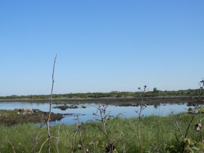 20160515_012.JPG