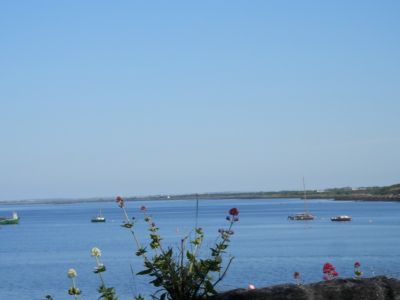 20160515_023.JPG
