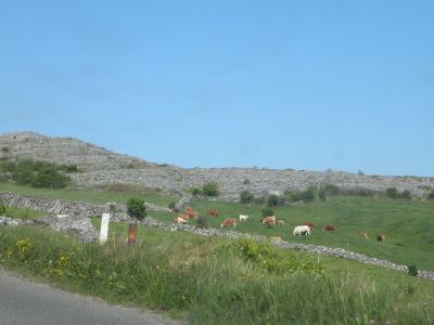 20160515_030.JPG