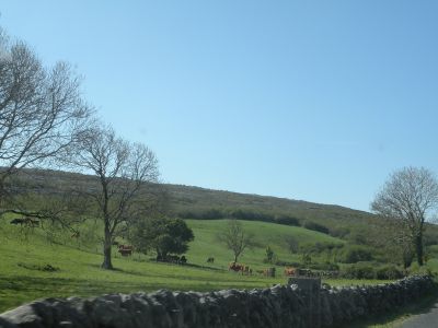 20160515_036.JPG
