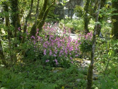 20160515_041.JPG