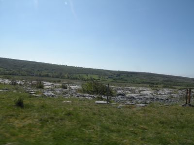 20160515_061.JPG