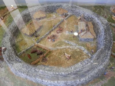 20160515_073.JPG