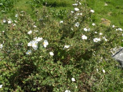 20160515_075.JPG