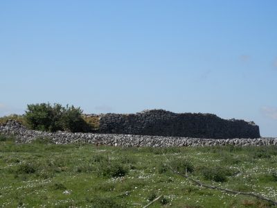 20160515_076.JPG