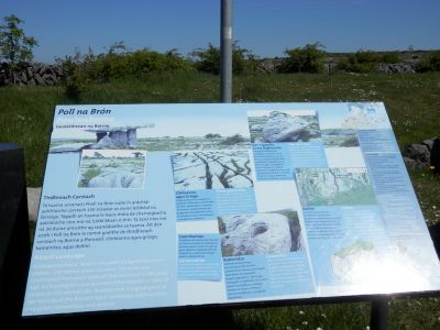 20160515_080.JPG