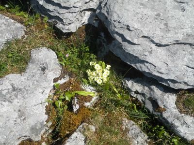20160515_094.JPG