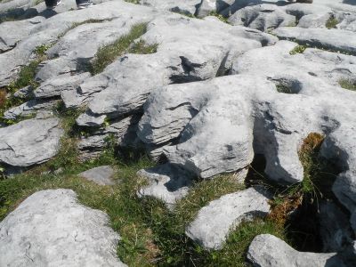 20160515_097.JPG