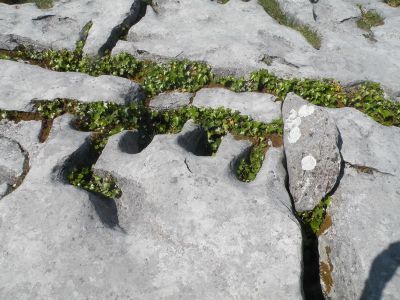 20160515_099.JPG