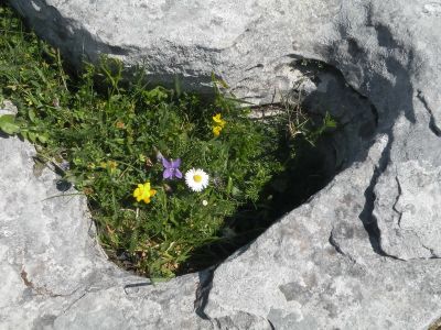20160515_100.JPG