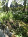 20160515_060.JPG
