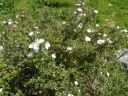 20160515_075.JPG