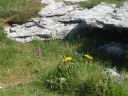 20160515_083.JPG