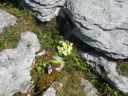 20160515_094.JPG