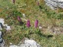 20160515_096.JPG