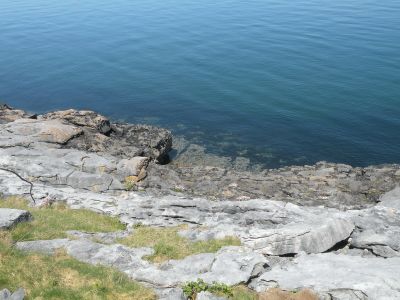 20160515_119.JPG