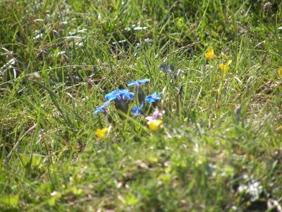 20160515_126.JPG
