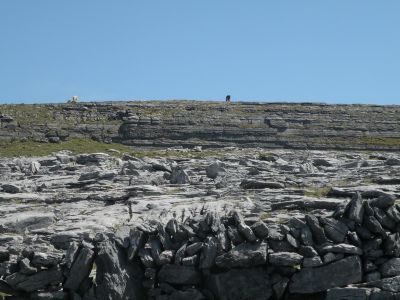 20160515_129.JPG