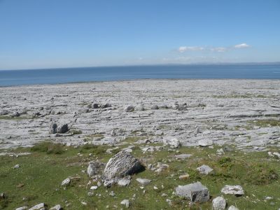 20160515_130.JPG