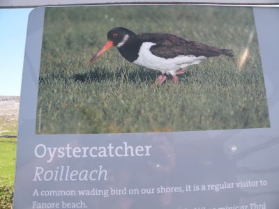 20160515_144.JPG