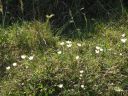 20160515_123.JPG