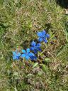 Filename=20160515_151.JPG
Filesize=228KiB
Dimensions=450x600
Date added=Jun 05, 2016 20160515_151.JPG