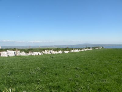 20160515_201.JPG