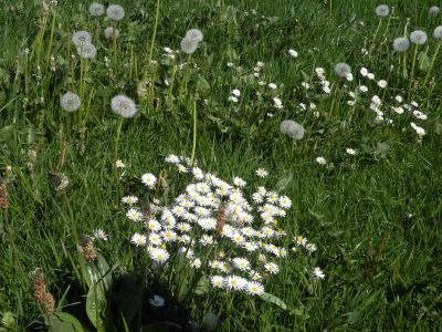 20160515_205.JPG