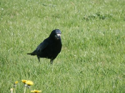 20160515_213.JPG