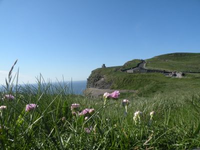 20160515_214.JPG