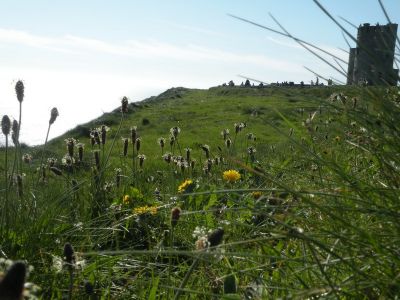 20160515_222.JPG