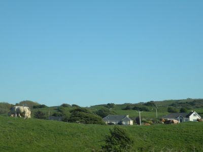 20160515_255.JPG