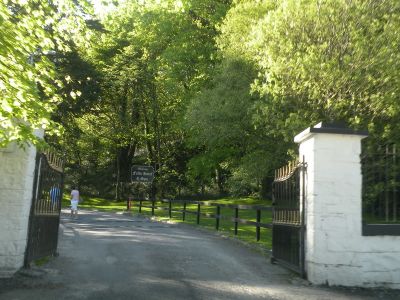 20160515_267.JPG