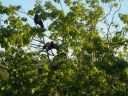 20160515_290.JPG
