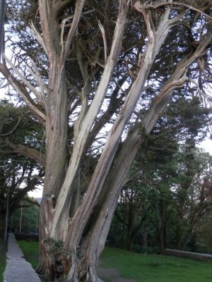 20160515_306.JPG