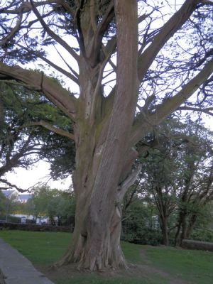 20160515_307.JPG