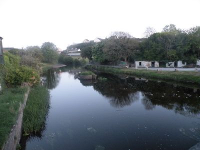 20160515_323.JPG