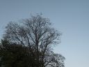 20160515_304.JPG