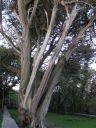 20160515_306.JPG