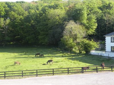 20160516_007.JPG