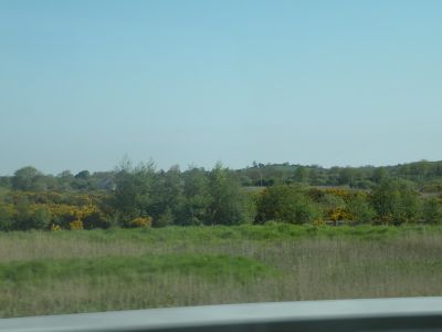 20160516_017.JPG