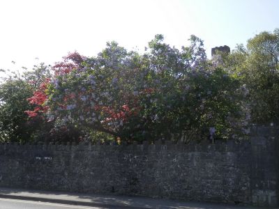 20160516_024.JPG