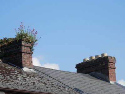20160516_068.JPG