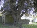 20160516_051.JPG