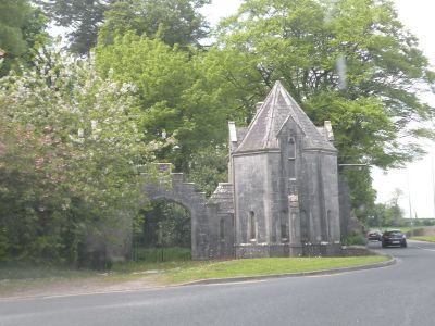 20160516_117.JPG