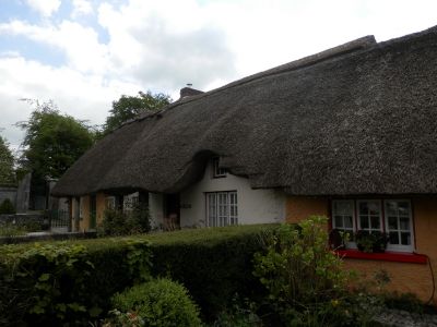 20160516_141.JPG