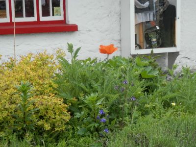 20160516_156.JPG
