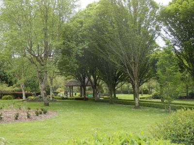 20160516_159.JPG