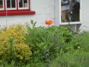 20160516_156.JPG