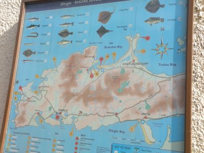 20160516_269.JPG